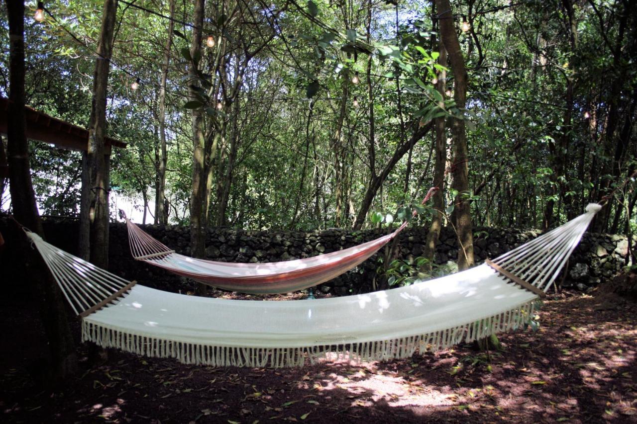 Azores Casa Da Mata Wellness Spa São Vicente Ferreira المظهر الخارجي الصورة